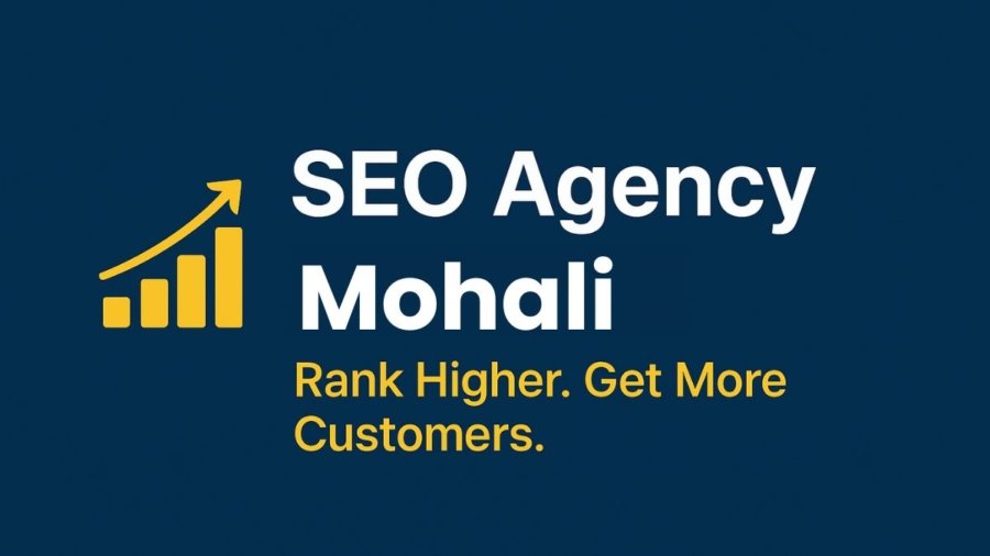 SEO Company in Mohali​