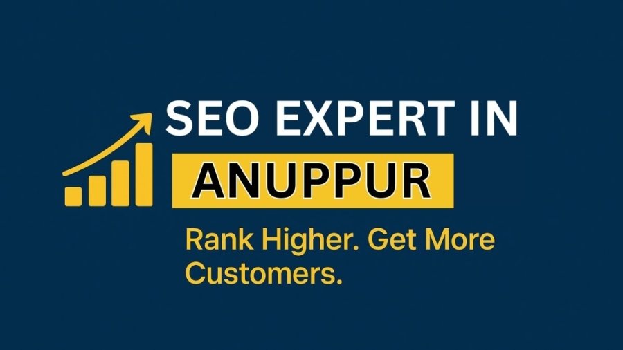 SEO Expert in Anuppur | SEO Services in Anuppur