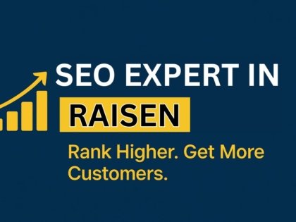 SEO Expert in Raisen