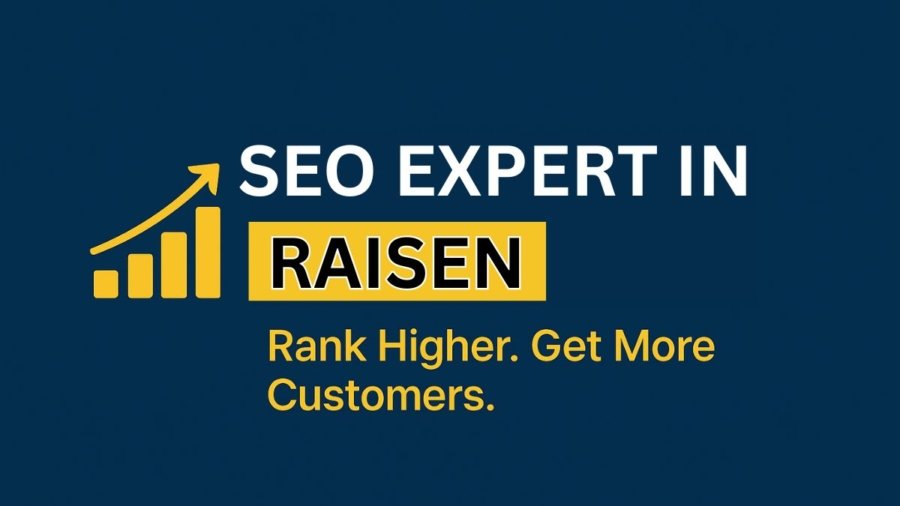 SEO Expert in Raisen